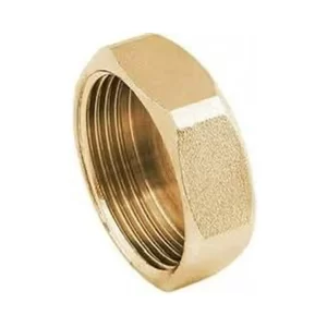 Sarı Dişi Körtapa